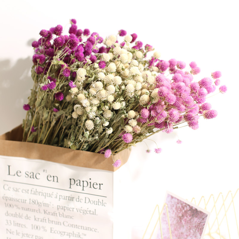 Natural Florist Supply - باقة زهور قطيفة مجففة محفوظة طبيعيًا