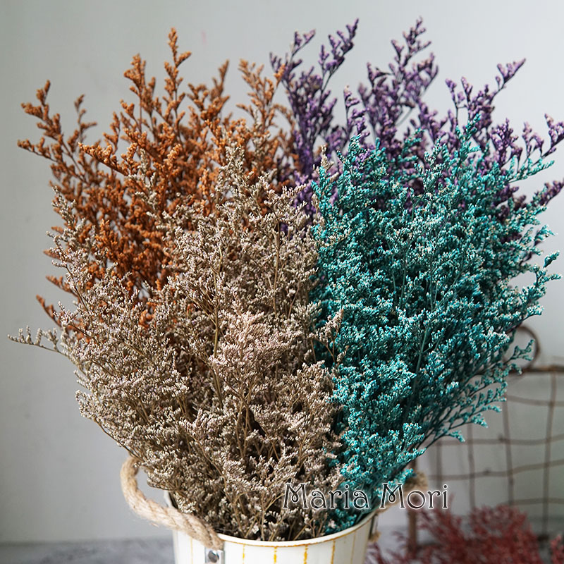 Eucalyptus Preserved - 70 جرام/عشب الحب المحفوظ لعيد الحب،