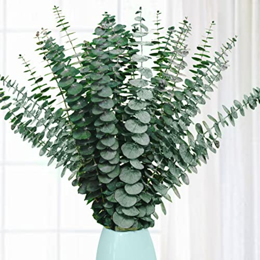 Eucalyptus Preserved - 20 قطعة من أغصان الأوكالبتوس المجففة