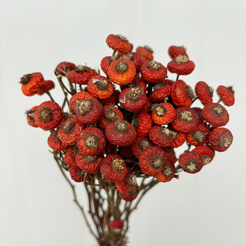 10 قطع/حزمة من ثمار الورد المج - مراجعة Dried Flower Bunch وسعره