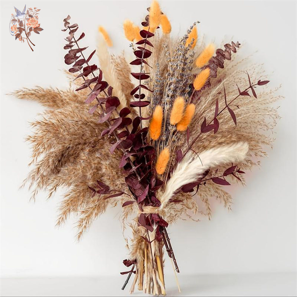 75 قطعة Pampas المجففة أوراق ا - مراجعة Dried Flower Bunch وسعره
