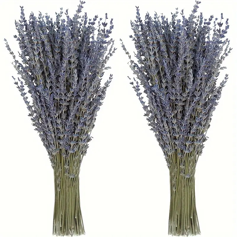 200 قطعة/حزمة من زهور اللافندر - مراجعة Dried Flower Bunch وسعره