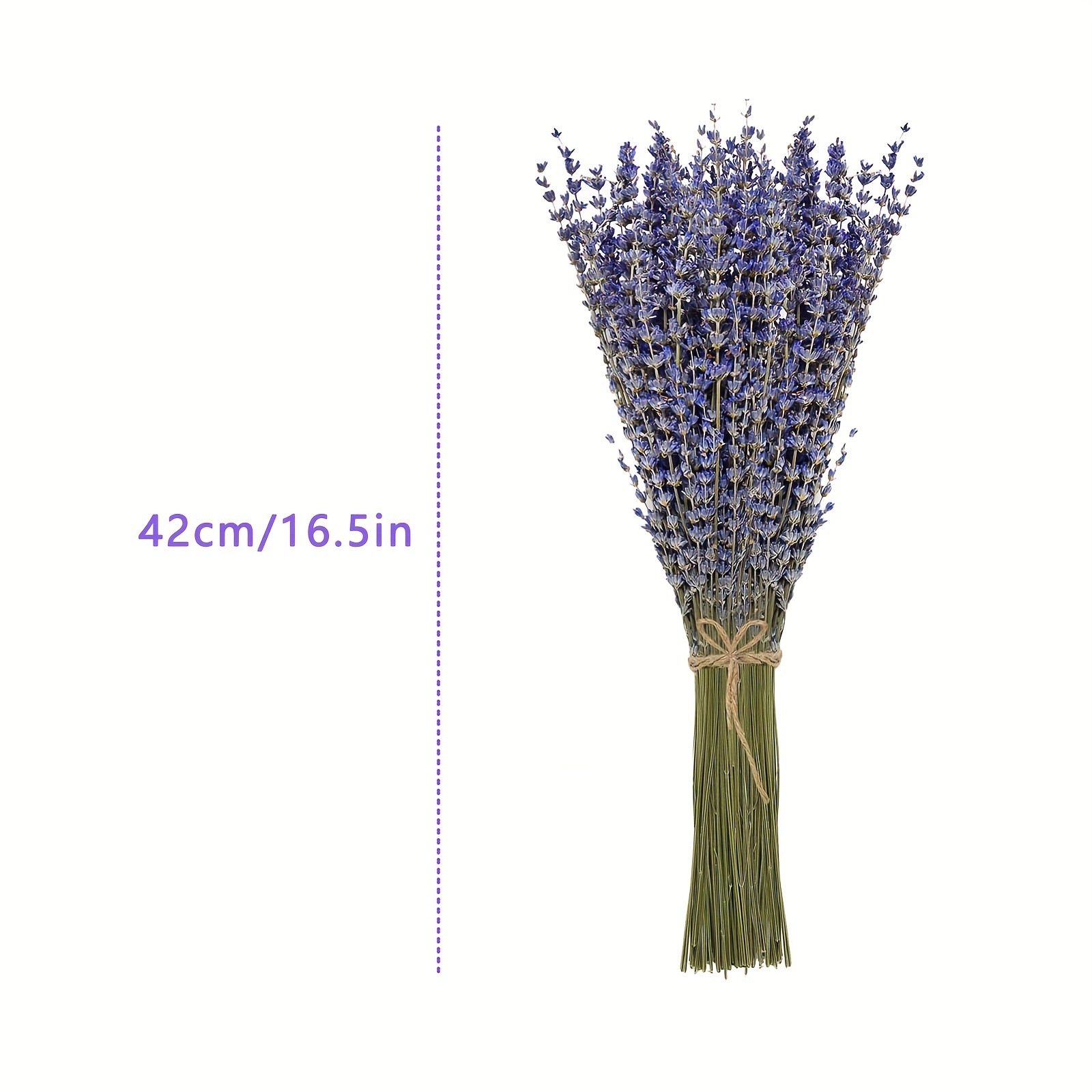 200 قطعة/حزمة من زهور اللافندر - مراجعة Dried Flower Bunch وسعره