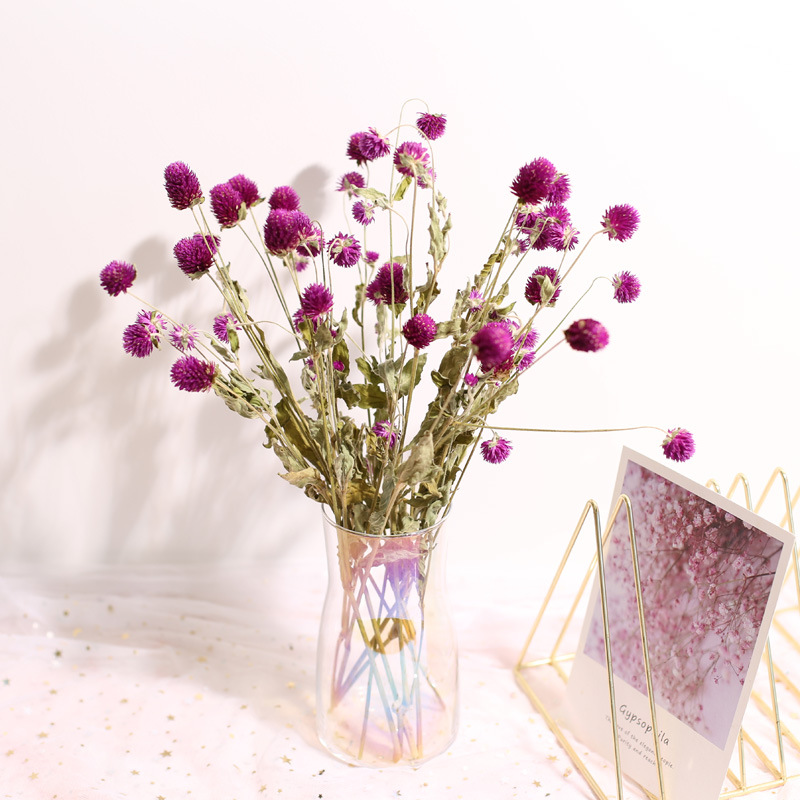 باقة زهور قطيفة مجففة محفوظة ط - مراجعة Natural Florist Supply وسعره