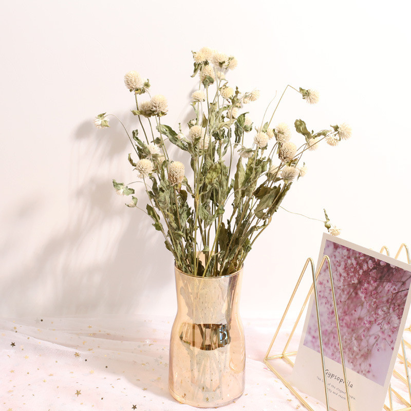 باقة زهور قطيفة مجففة محفوظة ط - مراجعة Natural Florist Supply وسعره