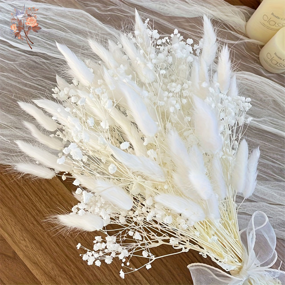54 قطعة زهرة بيضاء مجففة باقة  - مراجعة Dried Flower Bunch وسعره