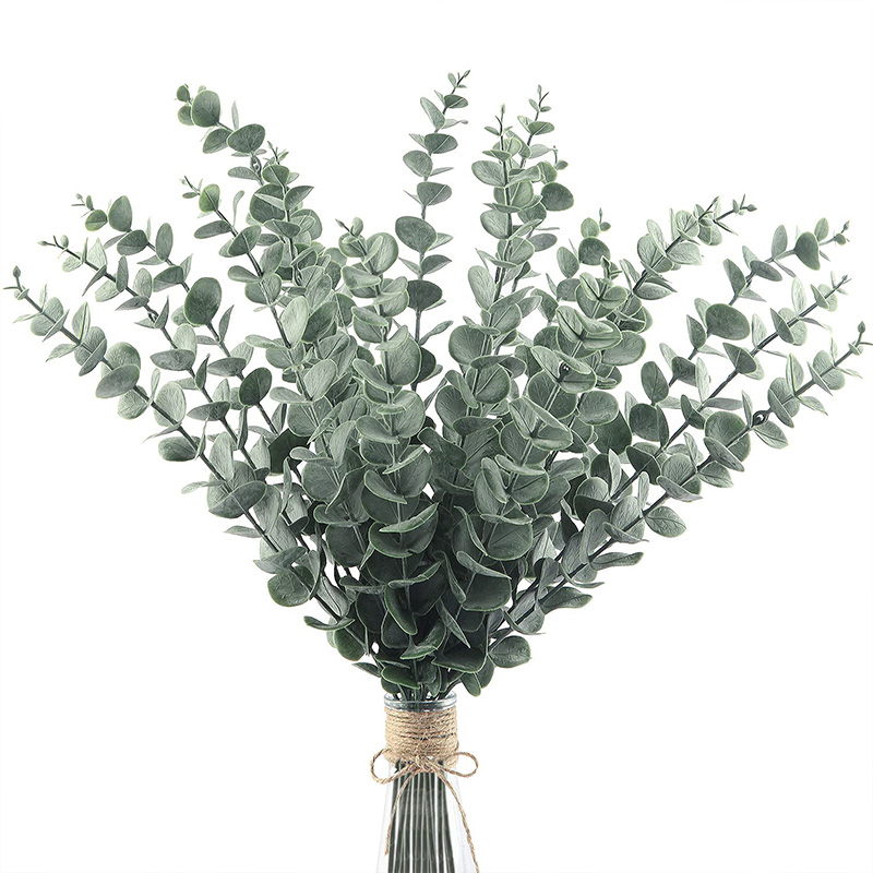20 قطعة سيقان الأوكالبتوس الاص - مراجعة Eucalyptus Preserved وسعره