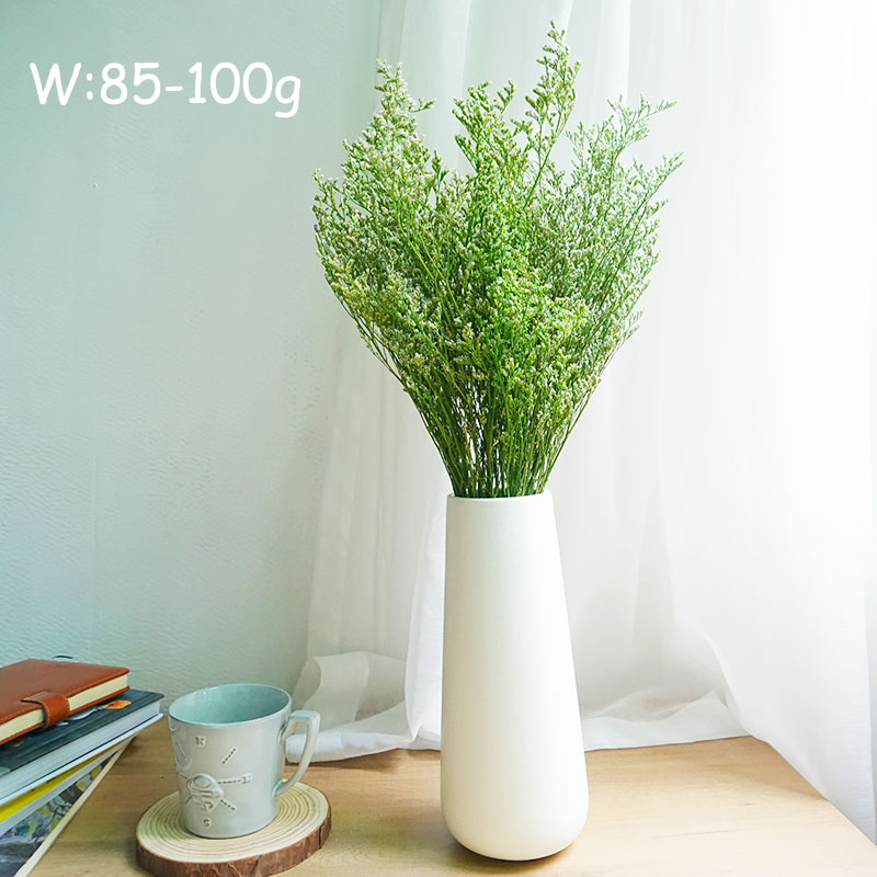 70 جرام/عشب الحب المحفوظ لعيد  - مراجعة Eucalyptus Preserved وسعره