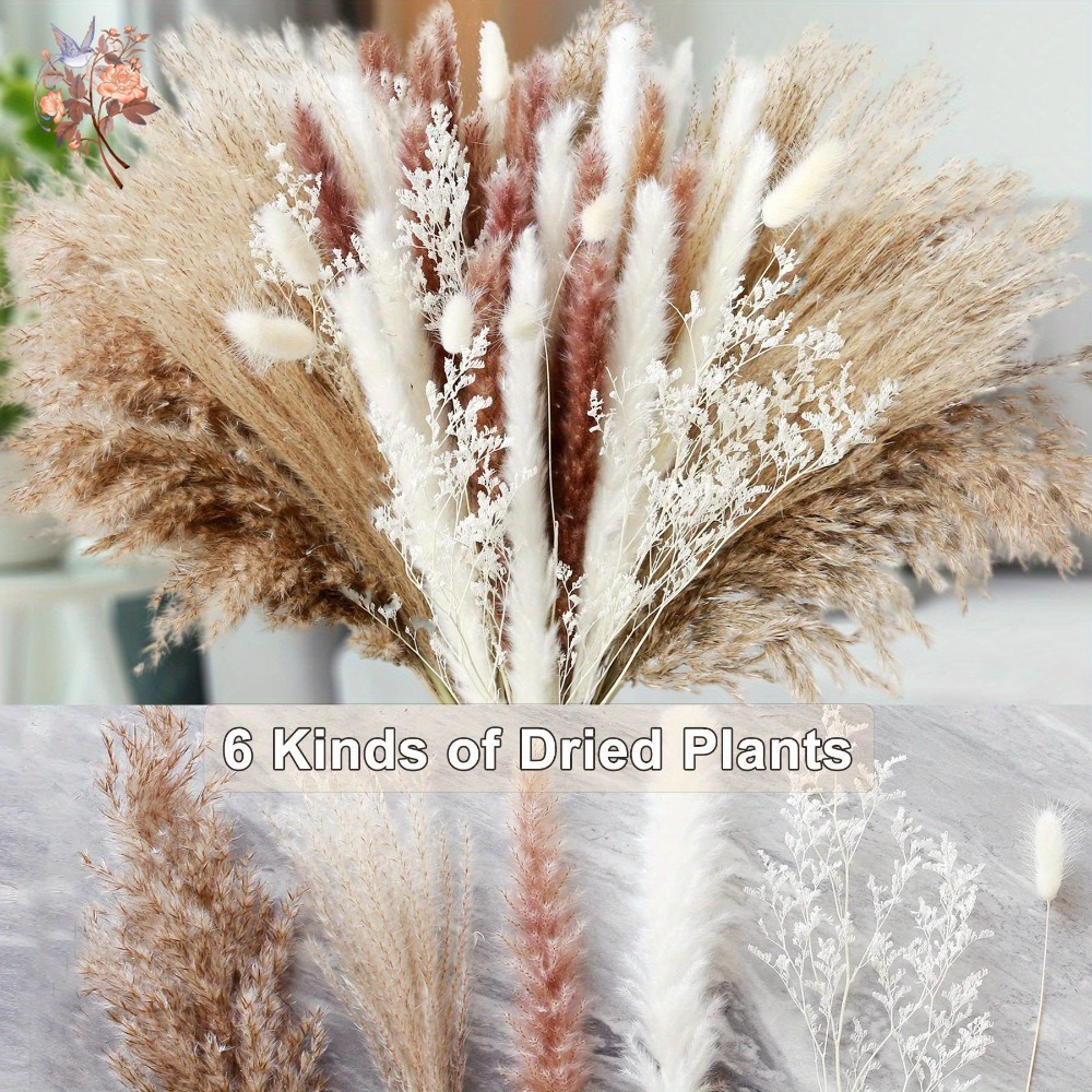 باقة زهور بامباس طبيعية مجففة، - مراجعة Dried Flower Bunch وسعره