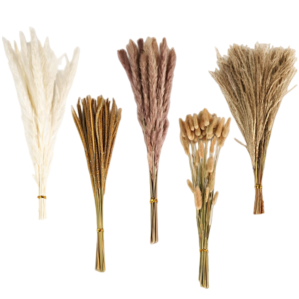 باقة زهور مجففة مختلطة بتصميم  - مراجعة Eucalyptus Preserved وسعره