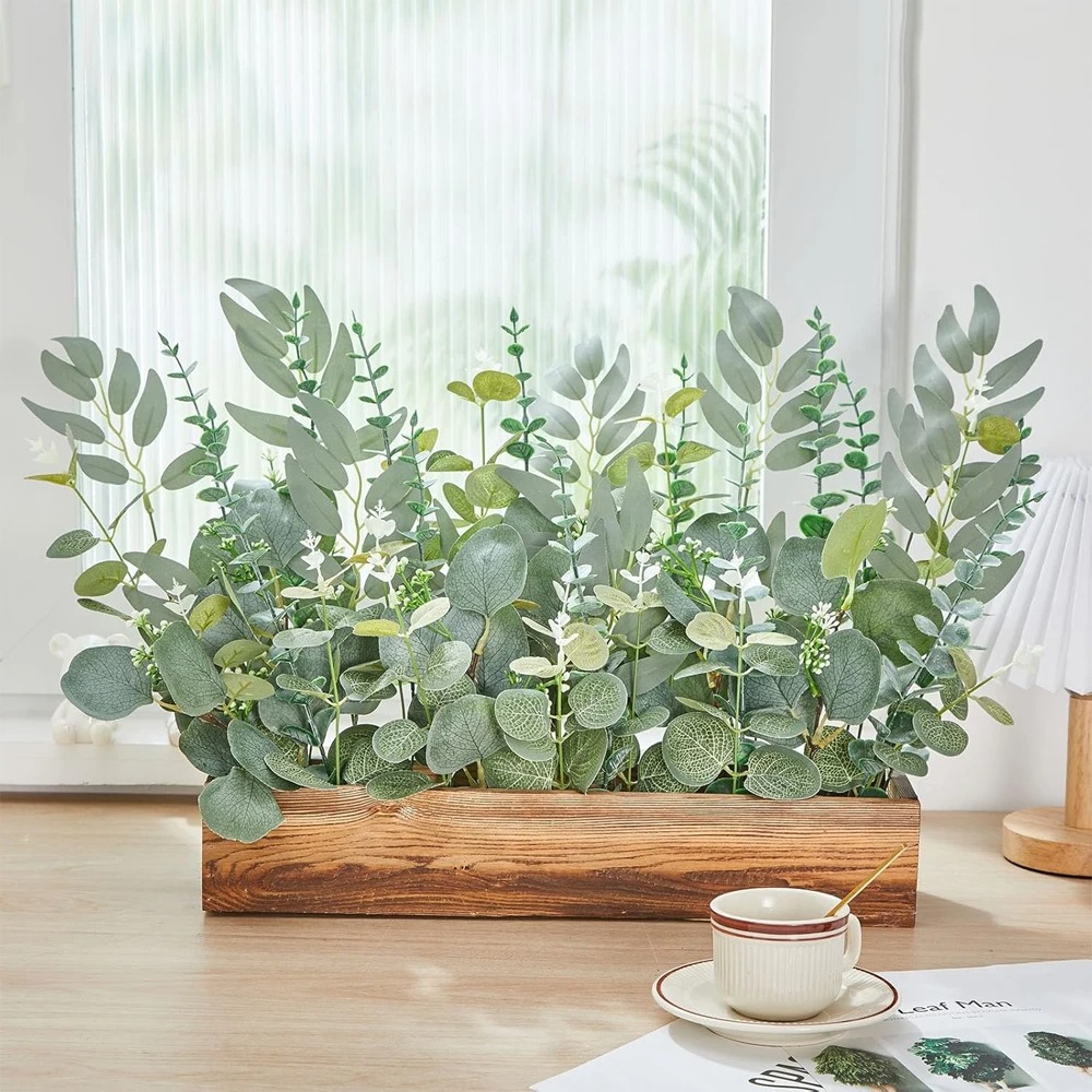 20 قطعة أوراق الأوكالبتوس ينبع - مراجعة Eucalyptus Preserved وسعره