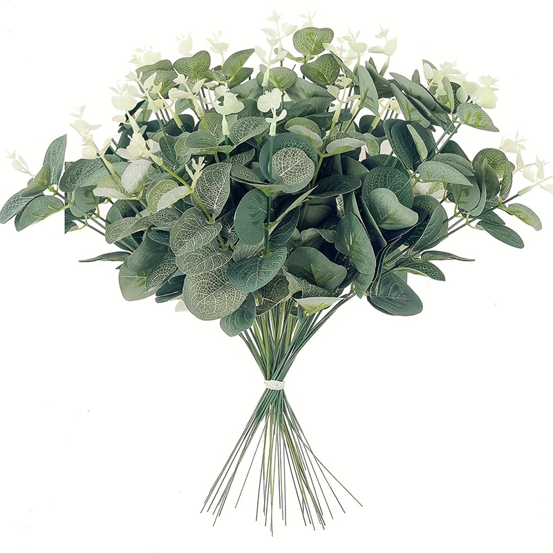 5/10/15 قطعة باقة زهور الأوكال - مراجعة Eucalyptus Preserved وسعره