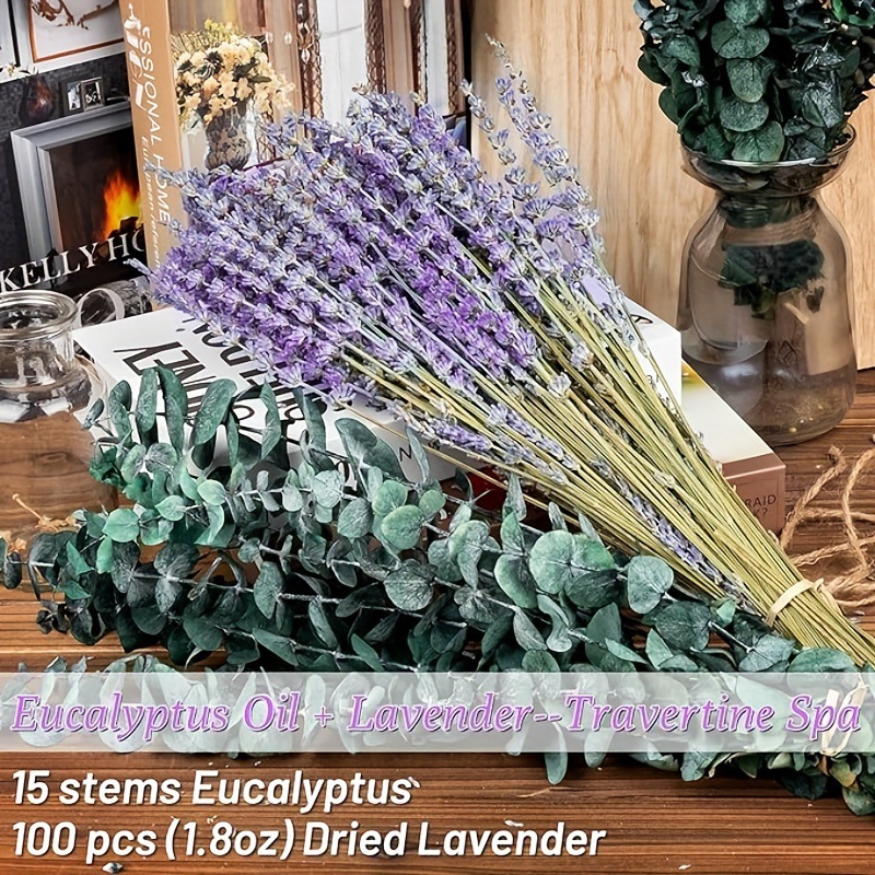باقة زهور اللافندر والأوكالبتو - مراجعة Eucalyptus Preserved وسعره