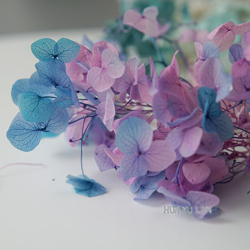 زهور هيدرانجيا مجففة ومحفوظة ب - مراجعة Dried Flower Bunch وسعره