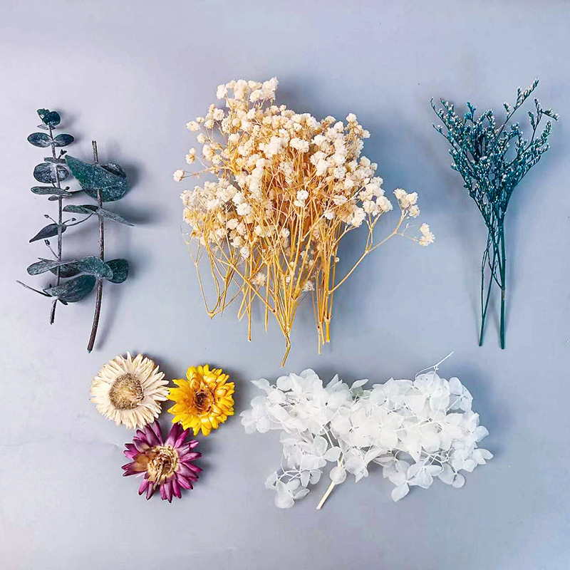1 حزمة متعددة متنوعة الزهور ال - مراجعة Dried Flower Bunch وسعره