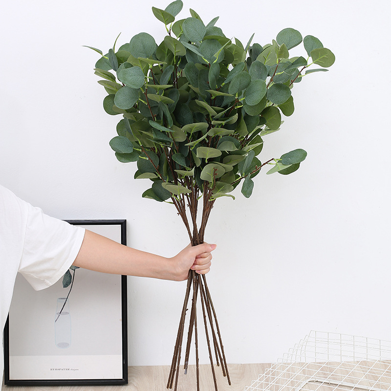 1 قطعة غصن أوراق التفاح واليوك - مراجعة Eucalyptus Preserved وسعره