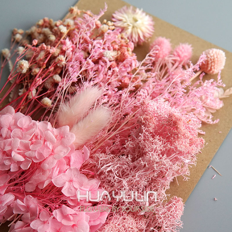 1 حزمة النباتات الاصطناعية الم - مراجعة Dried Flower Bunch وسعره
