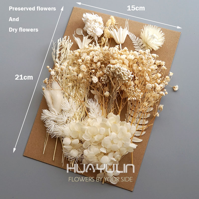 1 حزمة النباتات الاصطناعية الم - مراجعة Dried Flower Bunch وسعره